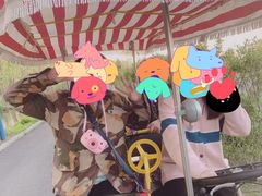 -合肥滨湖国家森林公园