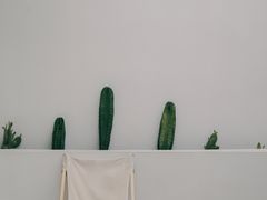-皮市街