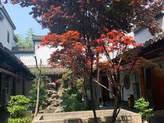 -不倒翁·徽天下名菜楼(马鞍山路店)