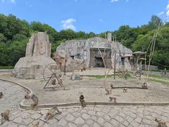 -哈尔滨北方森林动物园