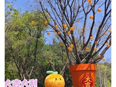 -云溪植物园