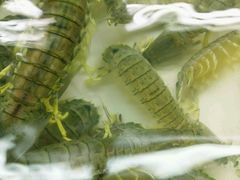 -班赞海鲜市场