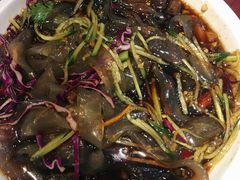 -邵年鸽(杨庄店)