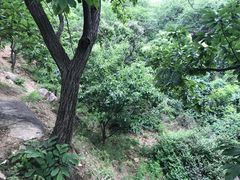 -北京水岸山吧度假村(雁栖镇店)