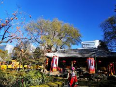 -白家大院·王府宫廷菜(苏州街店)