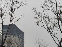 -中港石油加油站