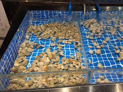 -韩京炭火烤肉自助料理(柯桥万达店)