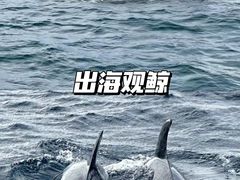 -悉尼歌剧院