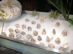 -芭菲盛宴·环球美食(北城国际店)