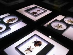 -上海昆虫博物馆