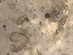 -东姑阿都拉曼海洋公园