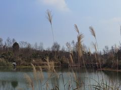 -桤木河湿地公园