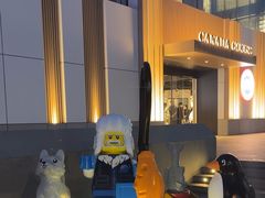 -Canada Goose加拿大鹅(北京三里屯太古里店)
