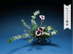 -今日陶艺(富力广场店)