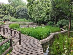 -成都市活水公园