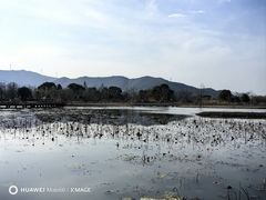 -长兴太湖图影湿地文化园