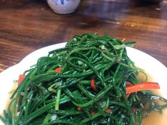 -苗氏卷子鸡(张掖金鸿大厦店)