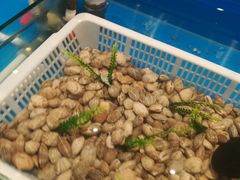 -星伦多自助料理(永旺店)