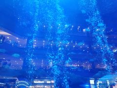 -成都浩海立方海洋公园