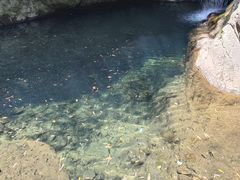 -宁波五龙潭景区