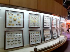 -陕西自然博物馆