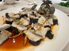 古法蒸老虎斑-利苑酒家(金宝店)