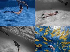 -三亚亚龙湾天域度假酒店