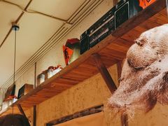 -泥糊破店小酒馆·团建聚餐(南京西路店)