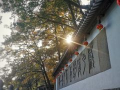 -严子陵钓台(富春江小三峡)