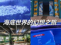 -海合安武汉极地海洋公园