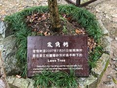 -太湖源风景区
