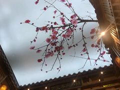 -丁里羊肉小镇(太宁路口店)