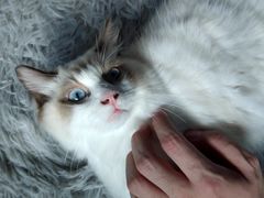 -零纪元VR体验馆·桌游(黄浦店)