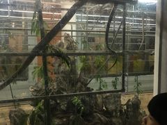 -荔城生鲜盛宴(番禺旗舰店)