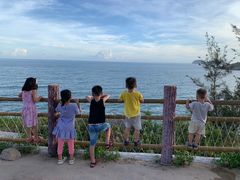 -广东惠东海龟国家级自然保护区