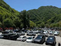 -牛背梁国家森林公园