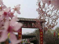 -古柏渡飞黄旅游区