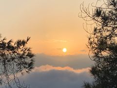 -缙云山景区