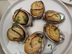 陈皮鲍鱼-陶然轩(沙面店)
