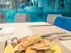 -帝企鹅自助餐厅•儿童岛•真企鹅(长隆企鹅酒店)