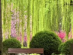 -唐城墙遗址公园