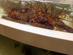-白金汉爵大酒店·中餐厅(相城店)