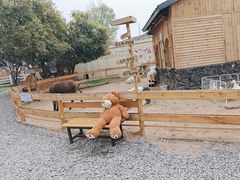 -HERRE·FARM 赫尔露营农场·团建聚会包场