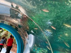 -北国之春国宴(乌兰察布店)