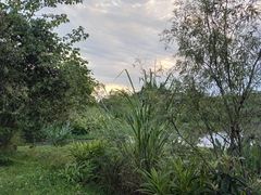 -桤木河湿地公园