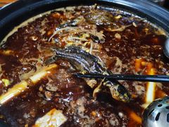 -金海椒罐罐鲢鱼(东方桂苑店)