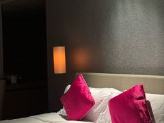 -深圳皇庭V酒店