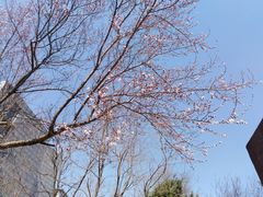 -吉林大学(南岭校区)