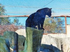 -沈阳森林动物园