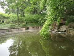 -嘉定紫藤园